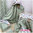 Waschlappen | Handschuh 19x14 cm | Regenbögen pastel olivgrün | personalisierbar | kittyklein®